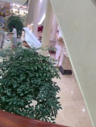 -大喜成国际宴会中心(金华店)