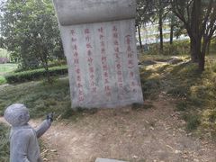-木塔寺遗址生态公园