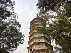 -深圳国际园林花卉博览园