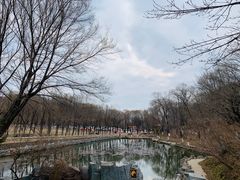 -高尔山公园