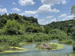 -天河潭旅游度假区