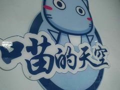 -喵的天空名猫咖啡馆·撸猫·猫舍·用品