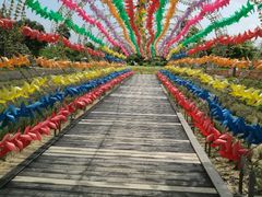 -广东花都香草世界旅游度假区