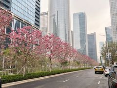 -深圳湾万象城(南山店)