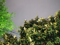 -源時代·江浙小馆