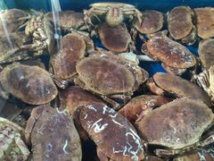 -众彩物流水产市场