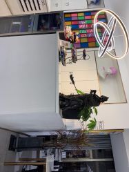 -蚂蚁造型沙龙