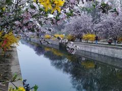 -元大都城垣遗址公园