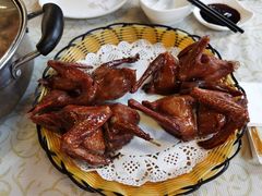 -百利鸽王(紫薇路店)