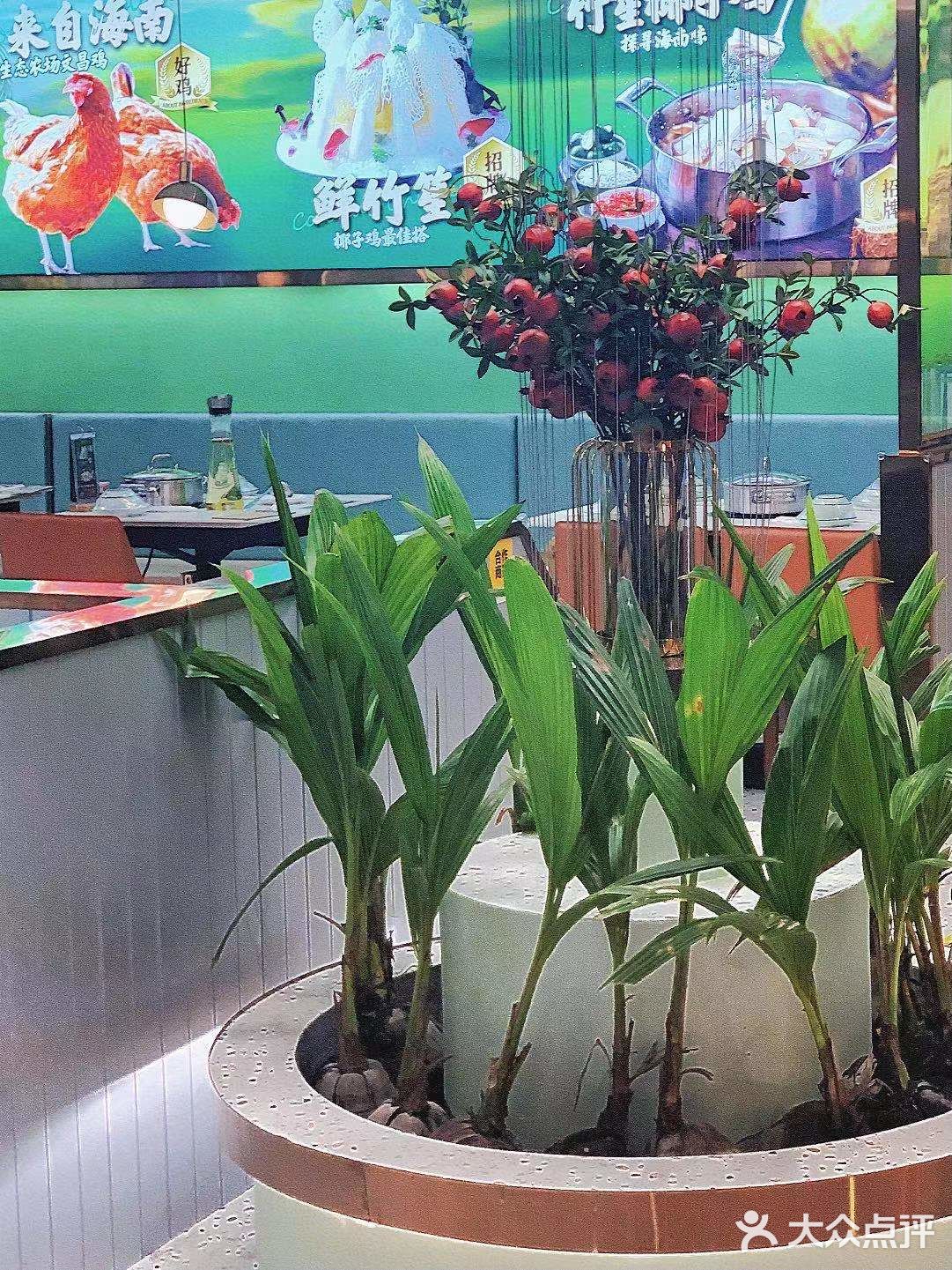长辈都忍不住夸的椰子鸡🐔究竟有多绝❗❗