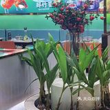 长辈都忍不住夸的椰子鸡🐔究竟有多绝❗❗