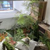 又发现体育西路宝藏咖啡厅了