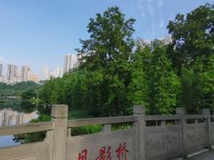 -重庆彩云湖湿地公园