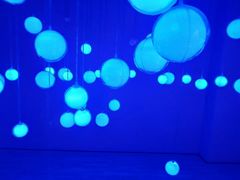 -天空之城蹦床攀岩运动馆·团建拓展·亲子游乐·生日派对(合肥店)