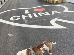 -城市运动公园(未央区)