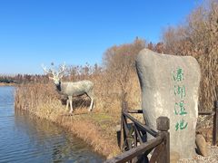 -溱湖国家湿地公园