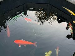 -安多素食(广仁寺路店)