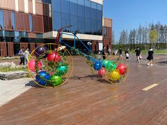 -黄海国家森林公园