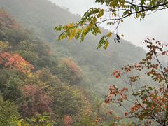 -太平万花山景区
