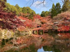 -醍醐寺