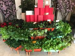 -苏淮景·苏闽融创菜·海鲜(原空港井河轩店)