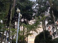 -桂林理工大学(雁山校区)