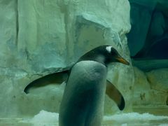 -华夏文旅西安度假区