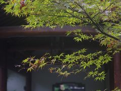 -郭庄景区