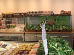 -津乐园(中山路店)