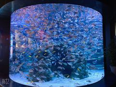 -成都浩海立方海洋公园