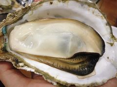 -蚝得喜海鲜(东城店)