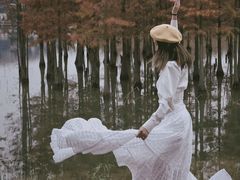 -白鹭湾湿地公园