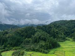 -清新一盅正宗清远鸡(环城路店)