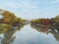 -自然谷恐龙园