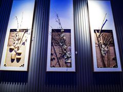 -稻香酒家·34年老字号·港式粤菜(侨光店)