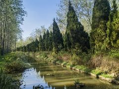 -合肥滨湖国家森林公园