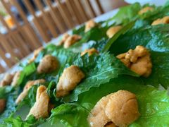 海胆刺身-王鼎精致料理铁板烧(世博源店)