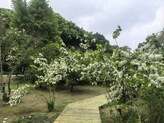 -苏州上方山国家森林公园