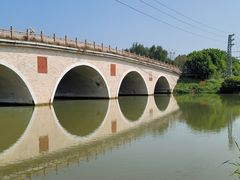 -大湾区中央湿地公园