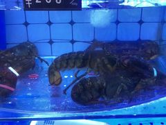 -日照大牌檔•小船海鲜(万平口店)