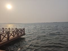 -丁香湖公园