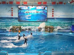 -多彩贵州城极地海洋世界