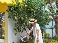 -东莞松山湖万象汇