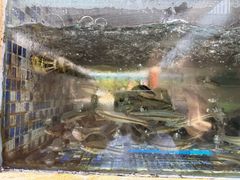 -胖大姐黄辣丁鱼庄(新津店)