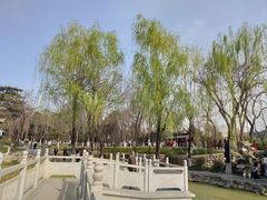 -莲湖公园