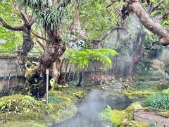 -Chom Cafe and Restaurant