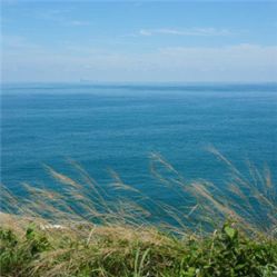 -薇兰专业脱毛连锁机构