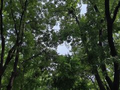 -明皇城东安门遗址