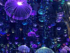 -梵高星空艺术馆(北京旗舰店)