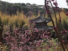 -红螺寺
